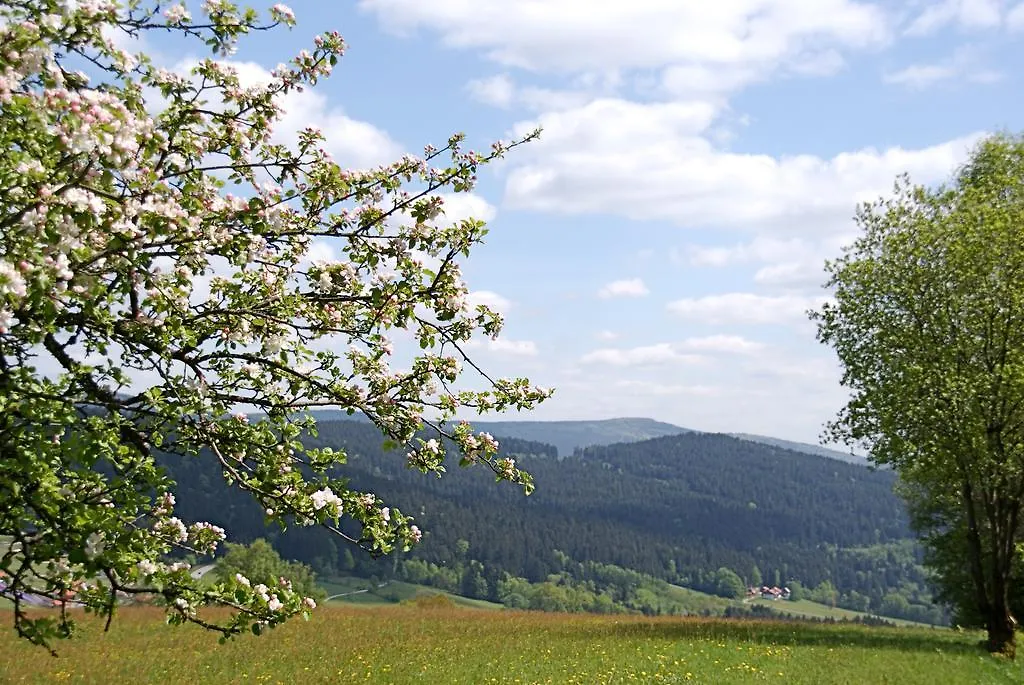 Privatpension Bergschütz Sankt Englmar