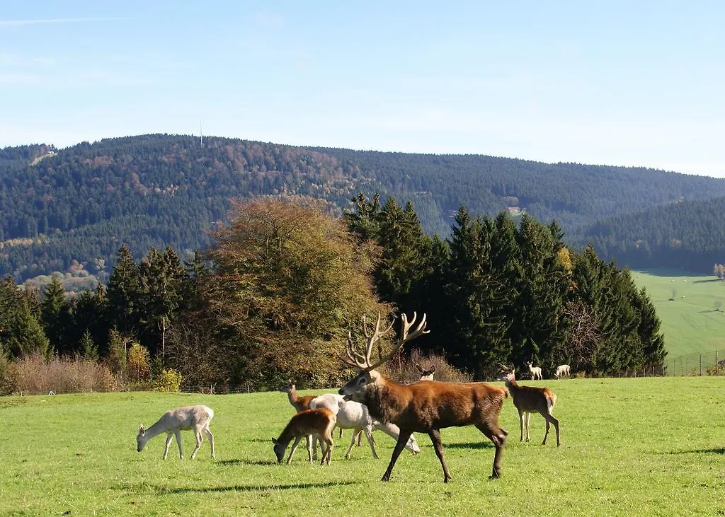 Privatpension Bergschütz Sankt Englmar