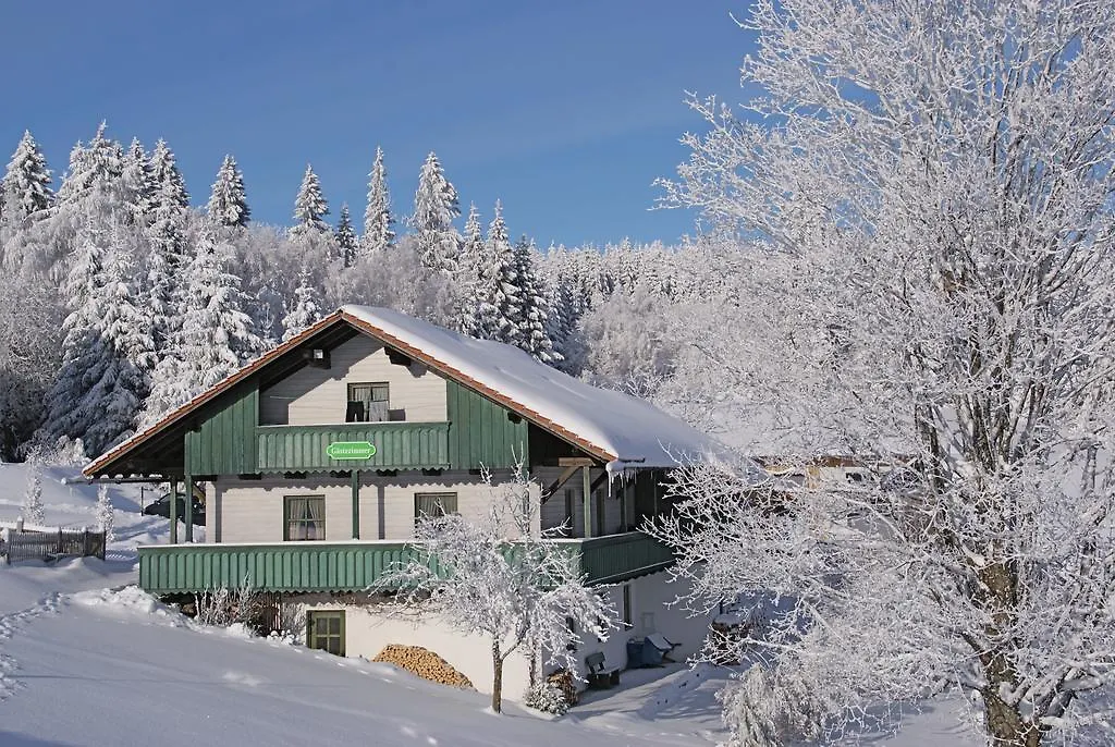 Gasthof Privatpension Bergschütz Sankt Englmar