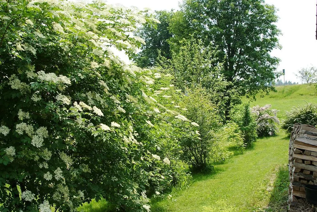 Privatpension Bergschütz Sankt Englmar