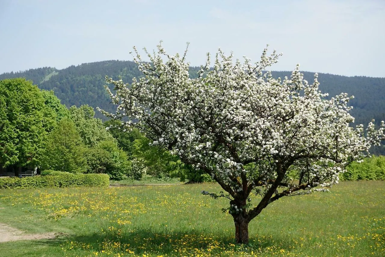 بيت ضيافة سانكت انجلمار Privatpension Bergschutz